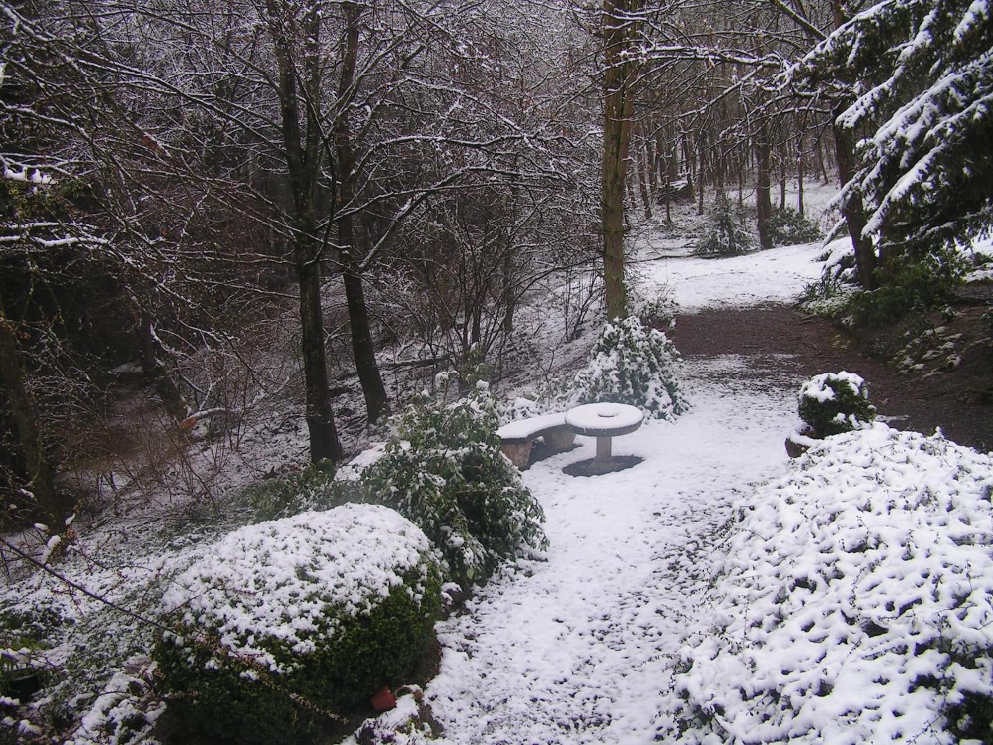 Gorgeous Apartment In Bohon With Garden Furniture And Bbq Barvaux-sur-Ourthe Esterno foto